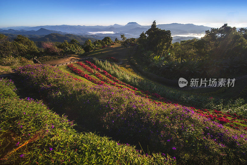 在泰国清迈和Mae Hong Son的怀南国家公园早上的观点